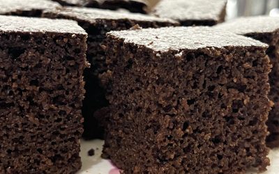 Stevia i zdravlje – nova saznanja